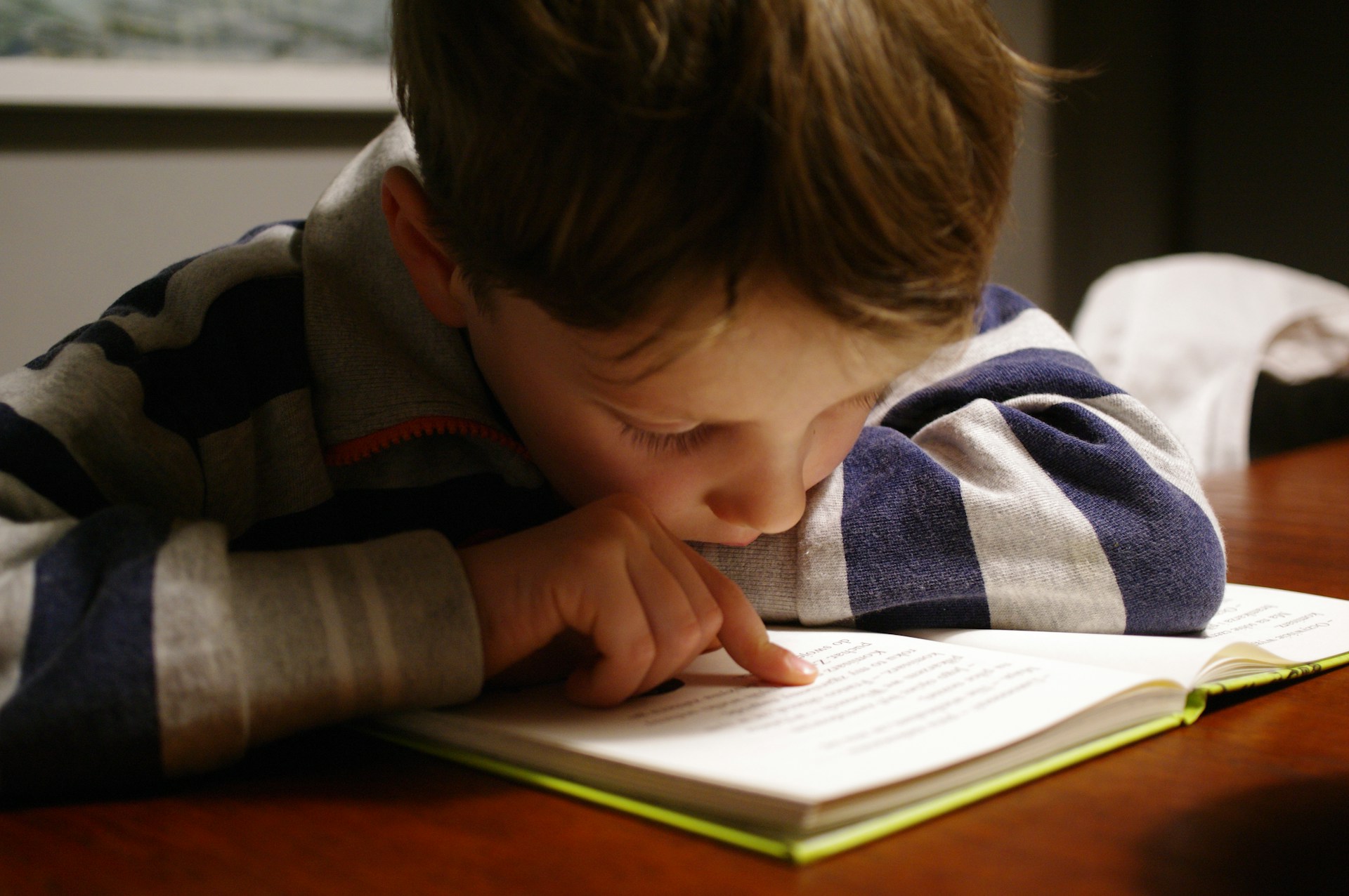 The image depicts a young boy intently reading a book.